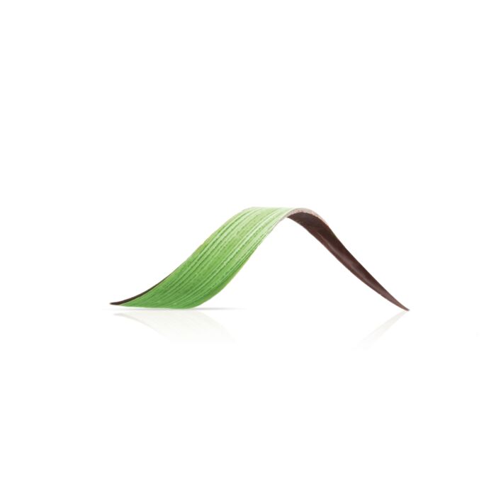 TWIST GREEN main product photo