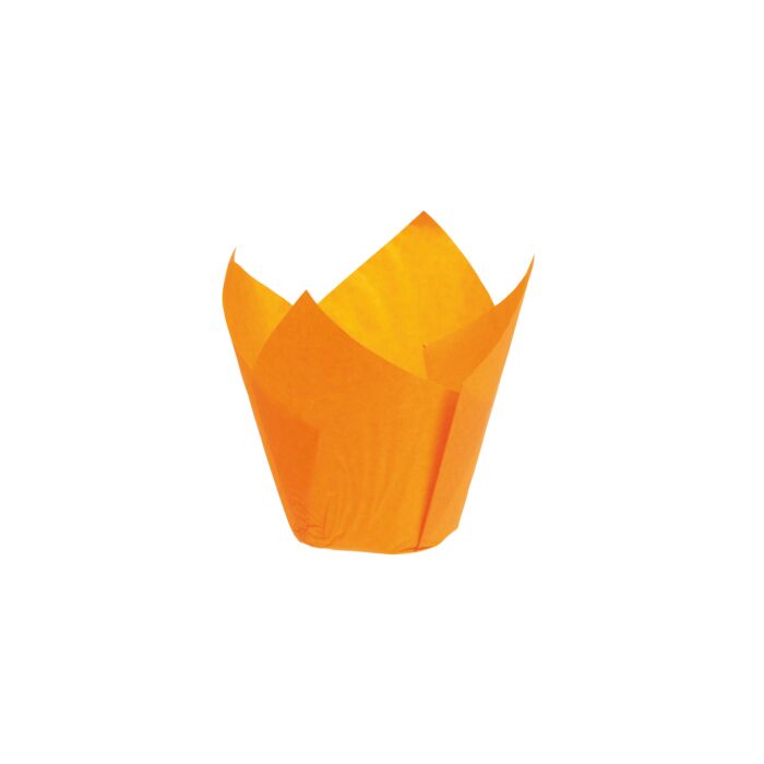 TULIP ORANGE main product photo